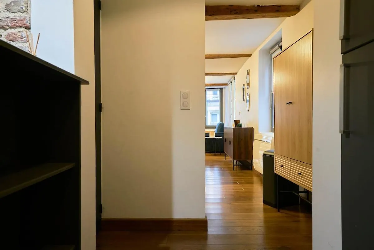 Duplex Rue Royale, Rooftop, Balneo Spa Lille 0*,  France