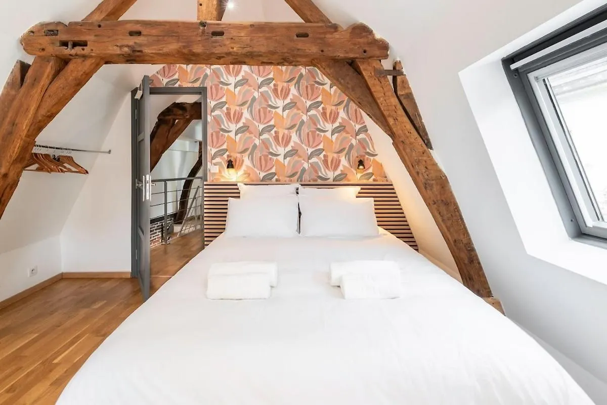 Duplex Rue Royale, Rooftop, Balneo Spa Lille 0*,  France