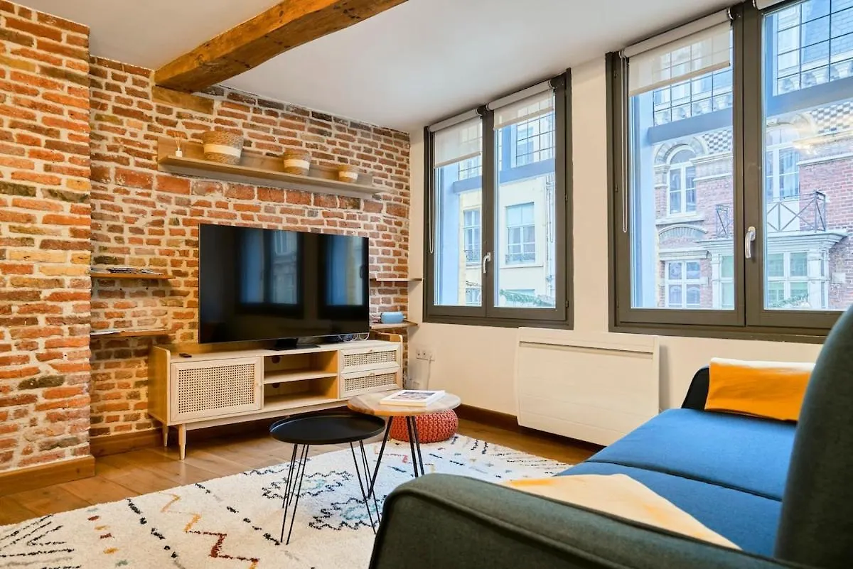 Duplex Rue Royale, Rooftop, Balneo Spa Lille Apartment