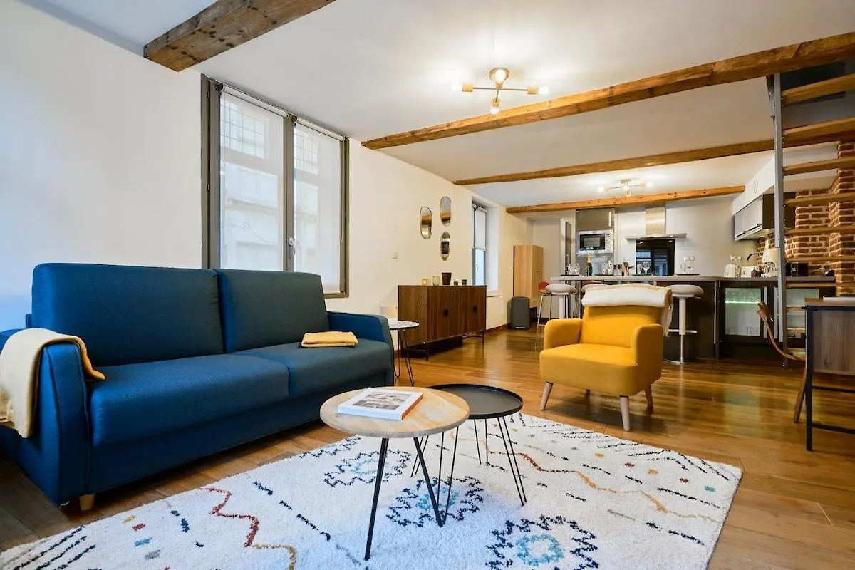 Apartment Duplex Rue Royale, Rooftop, Balneo Spa Lille
