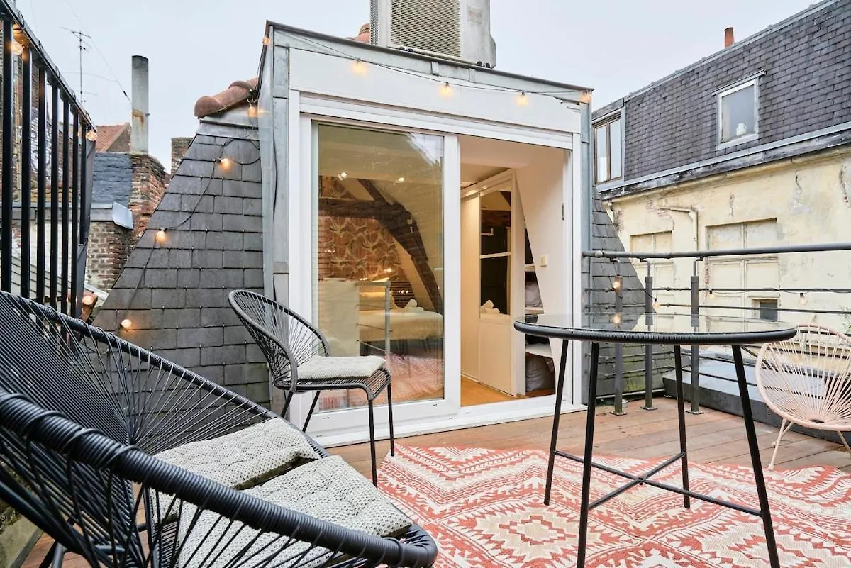 Apartment Duplex Rue Royale, Rooftop, Balneo Spa Lille