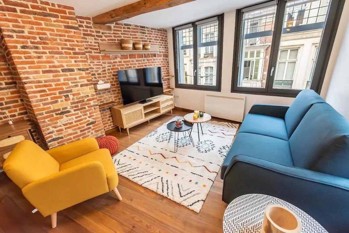Duplex Rue Royale, Rooftop, Balneo Spa Lille Apartment