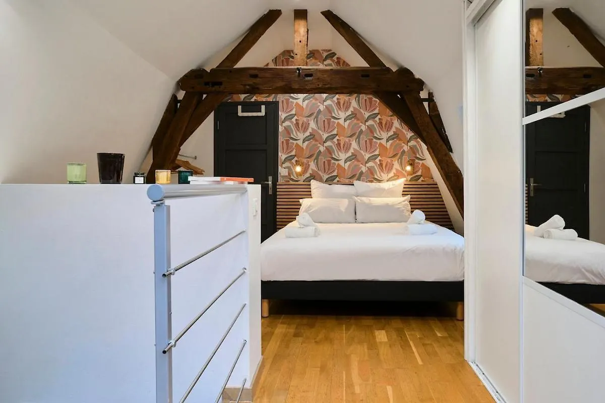 Duplex Rue Royale, Rooftop, Balneo Spa Lille 0*,  France