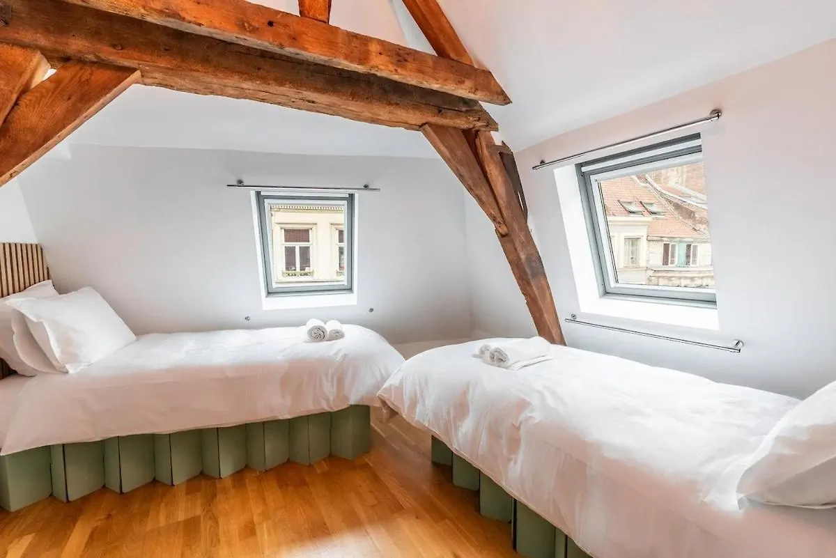 Duplex Rue Royale, Rooftop, Balneo Spa Lille