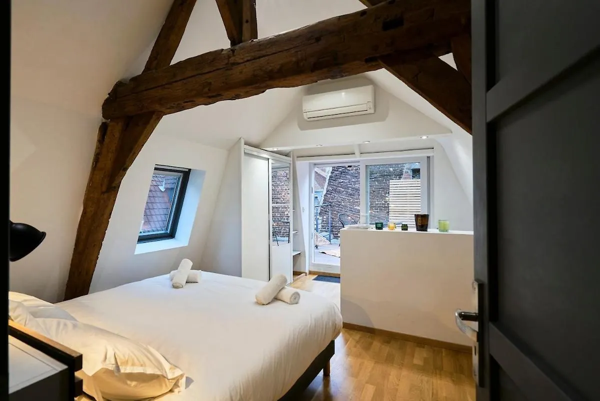 Duplex Rue Royale, Rooftop, Balneo Spa Lille France