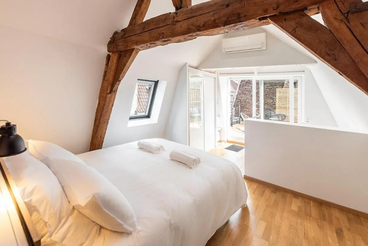 Duplex Rue Royale, Rooftop, Balneo Spa Lille 0*,