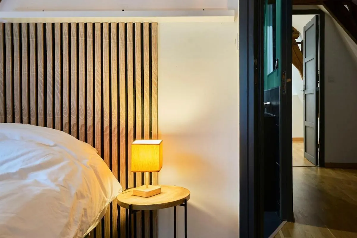 Duplex Rue Royale, Rooftop, Balneo Spa Lille Apartment