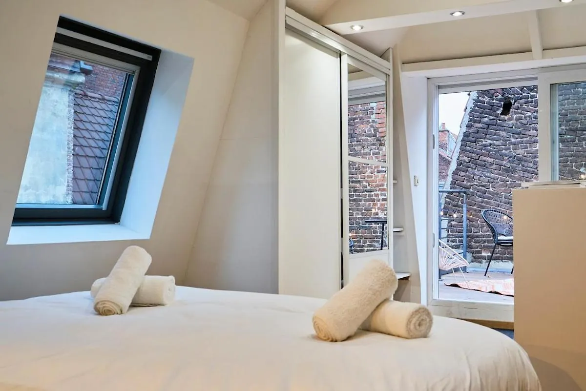 Duplex Rue Royale, Rooftop, Balneo Spa Lille Apartment