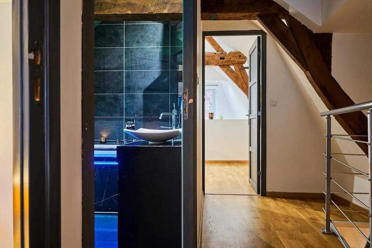 Apartment Duplex Rue Royale, Rooftop, Balneo Spa Lille