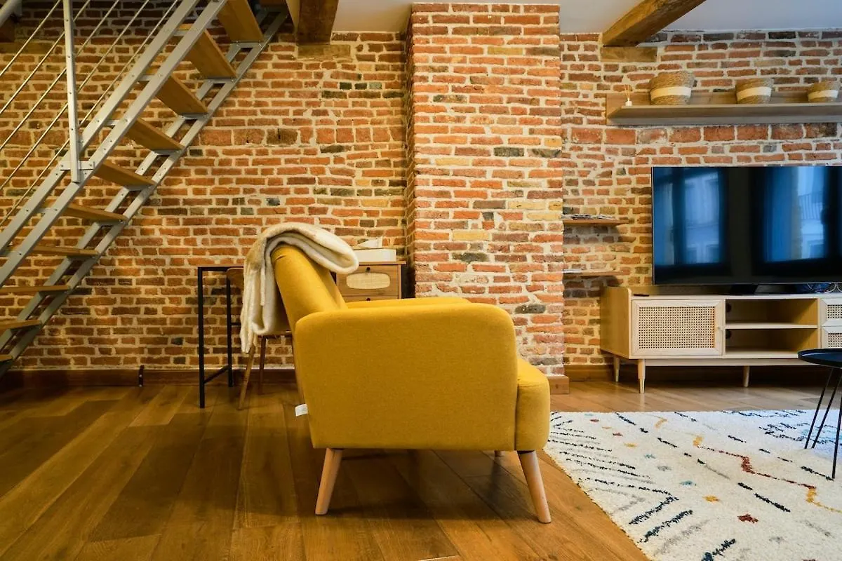 Duplex Rue Royale, Rooftop, Balneo Spa Lille France