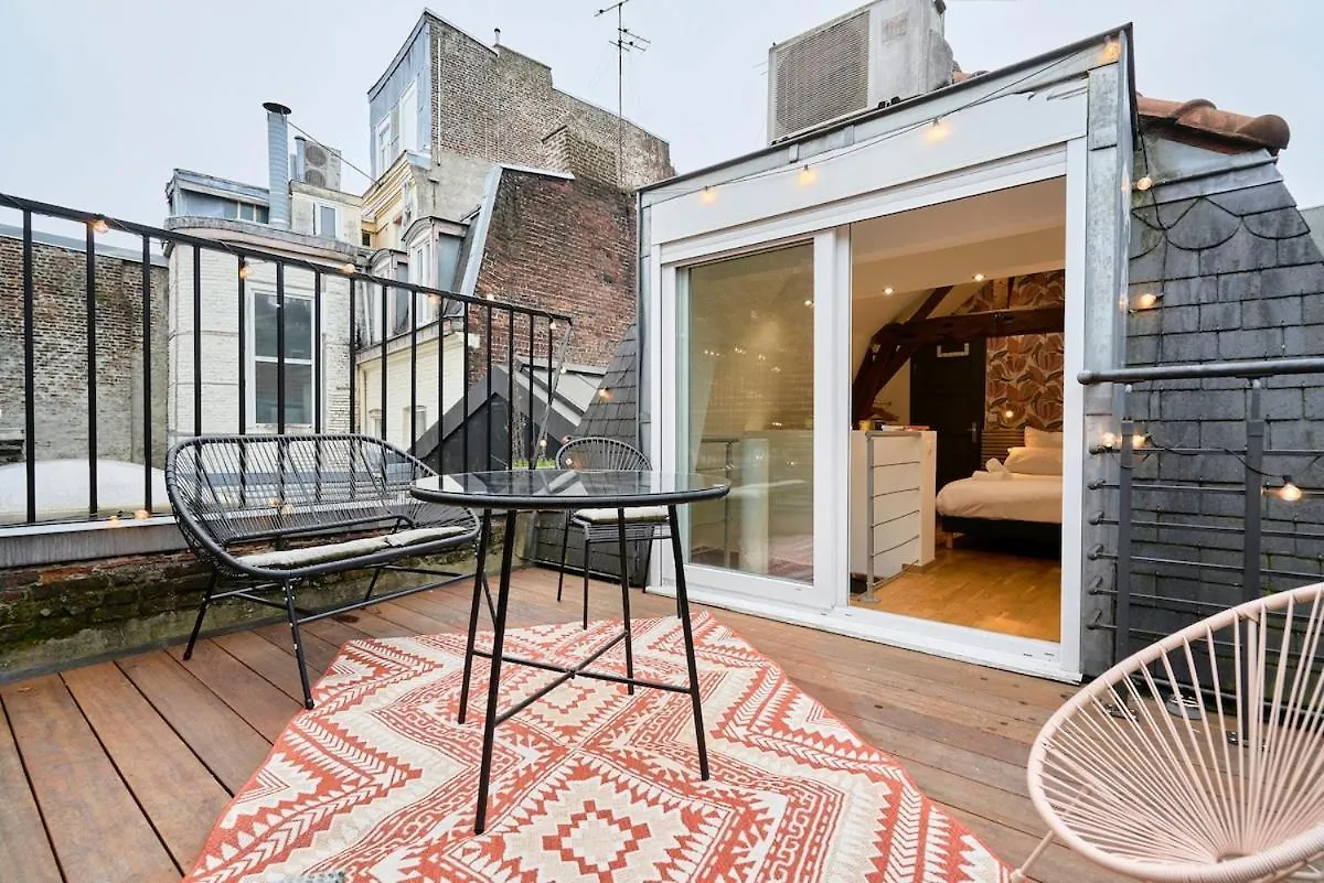 Apartment Duplex Rue Royale, Rooftop, Balneo Spa Lille